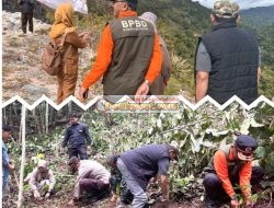 Dorong Program Integrated Farming, Wakil Bupati Solok Tinjau Perkebunan Kopi Ulu Rimbo Paninggahan