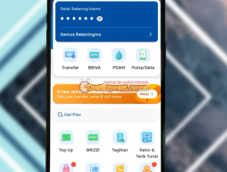 Cara Mengatasi BRImo Terblokir, Lupa Password dan Reset Akun