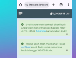 5 Cara Mendapatkan Litecoin di Litestake.io Penghasil Uanhg Gratisan Terbaru!