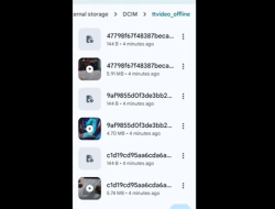 Video Melolo Berhasil Diunduh Ke Galeri Tapi Layar Hitam Blank? Ini Cara Mengatasinya