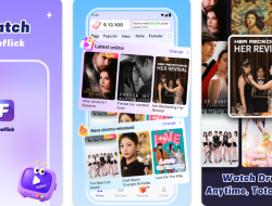 Aplikasi FreeFlick Apakah Terbukti Membayar? Review WD 1 Juta