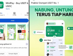 Review MiniPay Buy USDT & USDC Apakah Aman, Terbukti Membayar atau Scam?