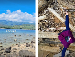 Trend Ophelia Viral di TikTok, Ini Arti, Makna Lagu, dan Cara Membuat Videonya