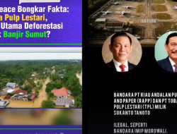 PT Toba Pulp Lestari Punya Siapa? Viral Usai Disorot dalam Isu Banjir Sumatera