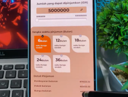 Sika Deer Apk Pinjol Apakah Aman Atau Penipuan? Review Terbaru!