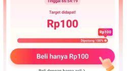 Cara Dapat Harga 100 Perak di TikTok Terbaru, 100% Berhasil Checkout