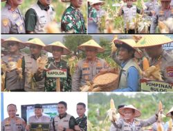 Kapolda Sumbar Laksanakan dan Apresiasi Panen Jagung Serentak di Kota Solok