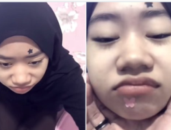 Video Sok Imut Viral Di Tiktok, Netizen Heboh Cari Link Videy.Co Yang Diklaim Full