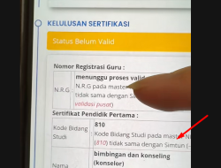 Cara Login SIMTUN Info GTK Bagi Yang Kelulusan Sertifikasi Belum Valid Apa Bisa?