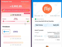 Aplikasi FreeReels Apakah Aman dan Terbukti Membayar? WD Rp50.000