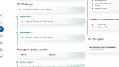 Solusi Info GTK, Riwayat Pendidikan Tidak Ada Entrian Data Pada Dapodik