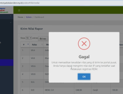 Cara Kirim Nilai RDM dari Hosting Server Luar Negeri ke Server Pusat