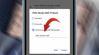 2 Cara Menghilangkan Iklan di Aplikasi Melolo dengan Cepat, Ini Trik VIP dan Pengaturan DNS
