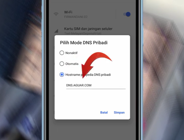 2 Cara Menghilangkan Iklan di Aplikasi Melolo dengan Cepat, Ini Trik VIP dan Pengaturan DNS