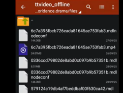 Download Video Melolo ke Galeri Tanpa Watermark, Tanpa Aplikasi Tambahan, Dijamin Berhasil