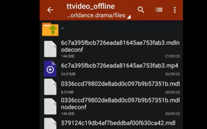 Download Video Melolo ke Galeri Tanpa Watermark, Tanpa Aplikasi Tambahan, Dijamin Berhasil