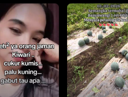 Palu Kuning Viral Di Tiktok Kenapa? Netizen dibikin Bingung Dengan Tren Saat ini!