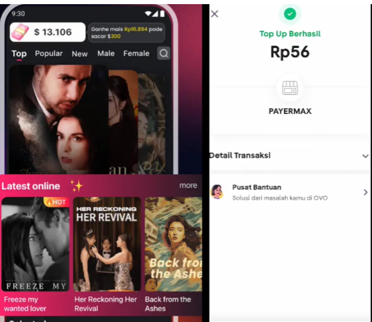 GoldFlick Apakah Menghasilkan Uang? Review Penarikan Saldo!