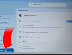Cara Update Chromebook Supaya Bisa Digunakan untuk TKA SD dan SMP 100% Berhasil