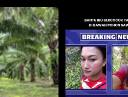 Video Viral Kebun Sawit, Ibu Tiri vs Anak Tiri Jadi Pemeran Utamanya. Begini Ceritanya!